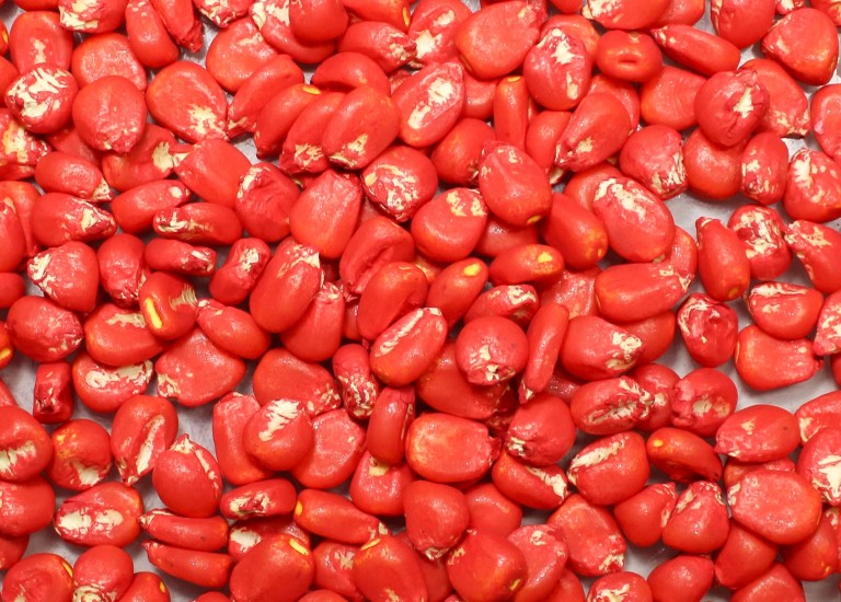 Seed Coating TANGO®