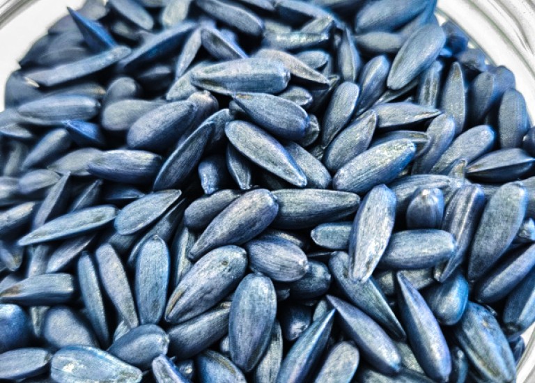 Seed Coating BLUES